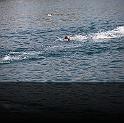 Comen Cup 2009 460